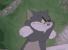 tom-and-jerry-tom.gif