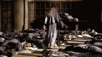 HtriNSi.gif