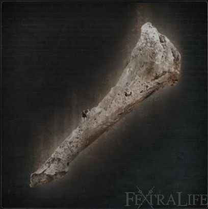 old_hunter_bone.jpg