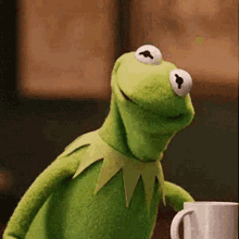 kermit-the-frog-kermit.gif
