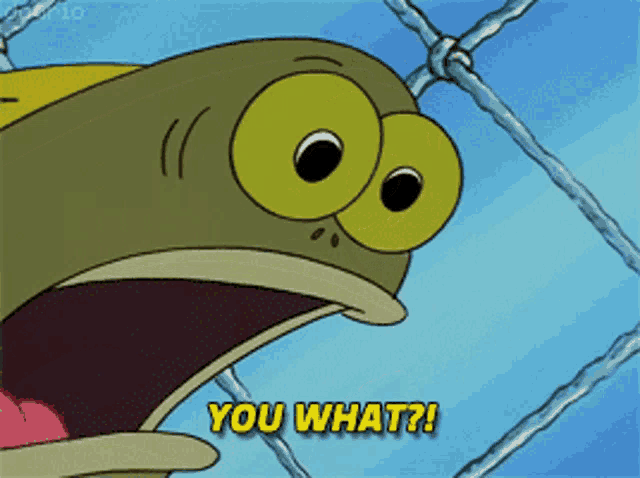 spongebob-you-what.png