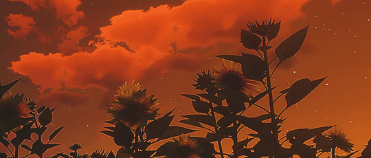 tumblr_piz0vksS8G1xulpawo3_540.gifv
