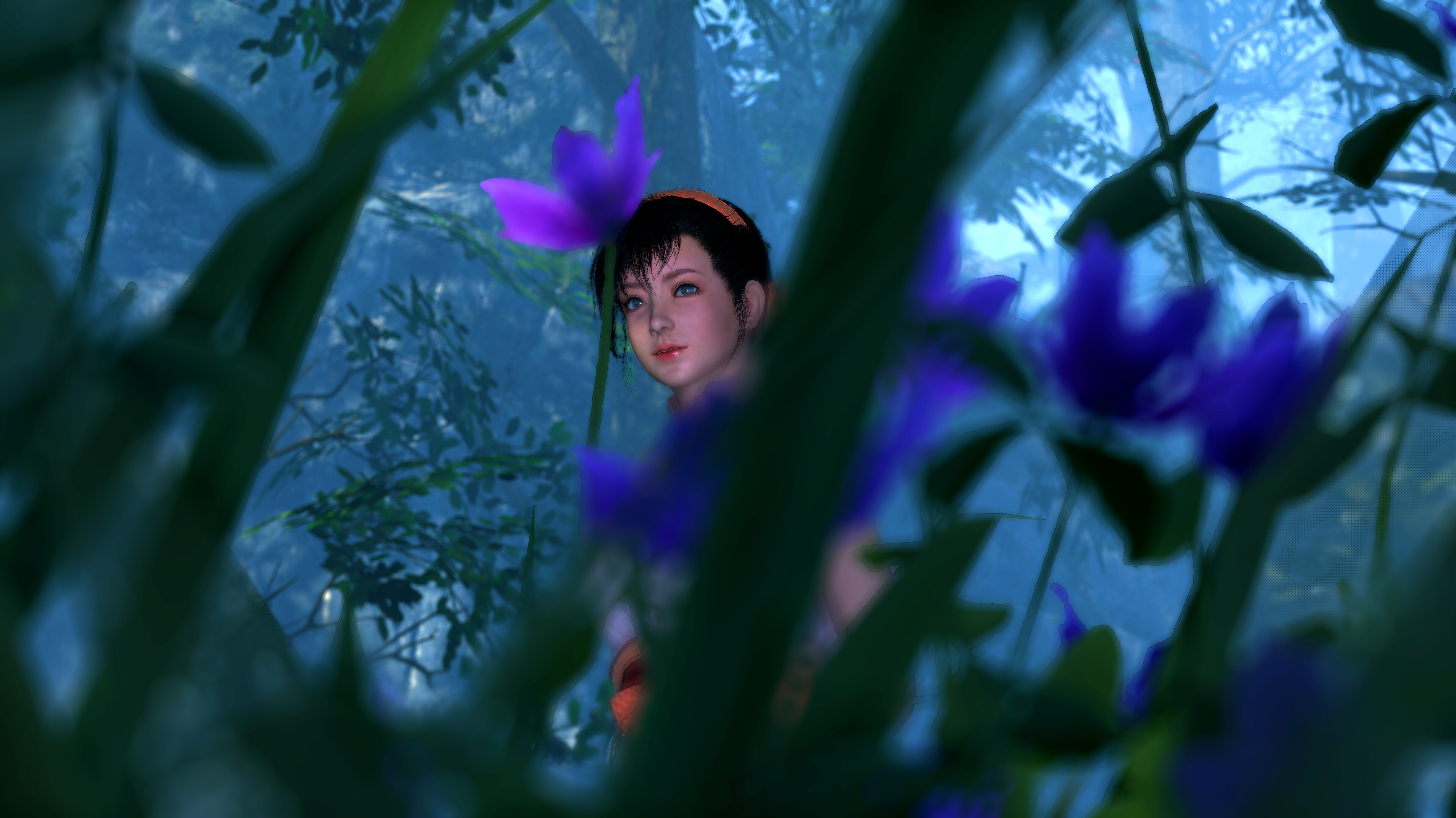 49149249257_4513c7ec0f_4k.jpg