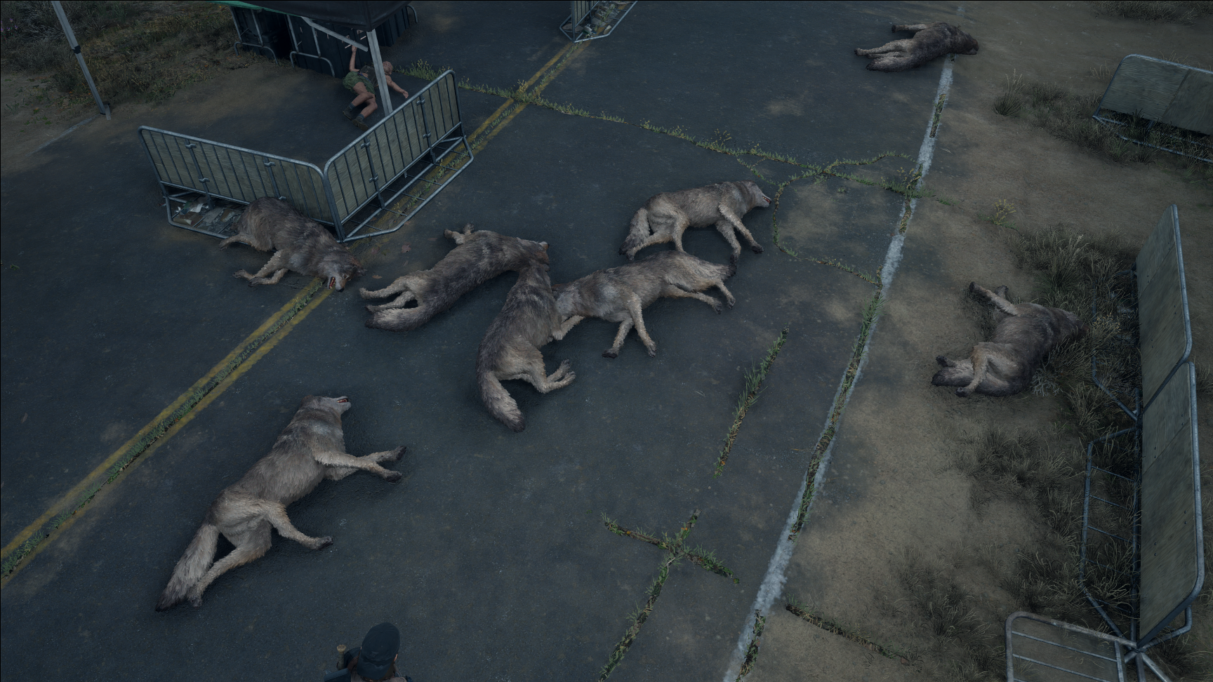 zgacagU.png