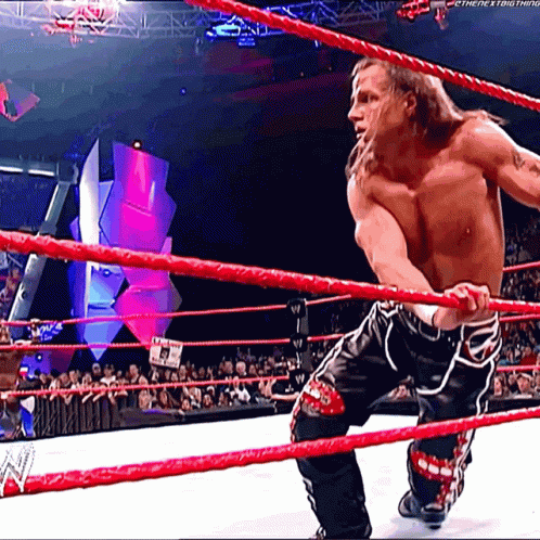 shawn-michaels-sweet-chin-music.gif