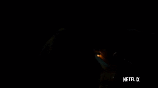 tX6Zn79.gif