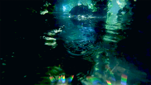 tumblr_nsuyv4ZPIk1rerxhwo3_r1_500.gif