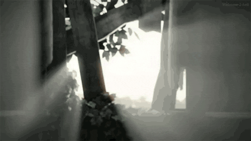 tumblr_lw3qlixrVu1qj1dixo1_500.gif