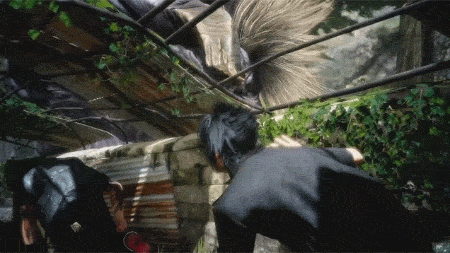 b88kh4fsykp4r2jk0dmb.gif