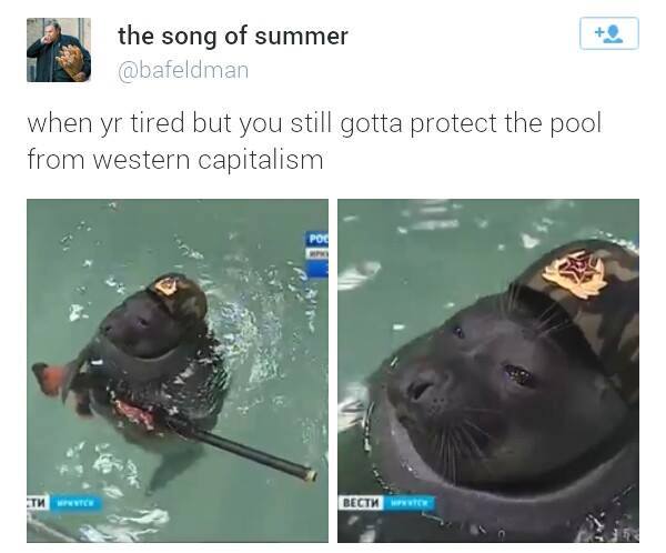 wv4DBI8.jpg