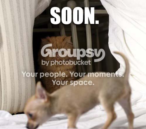 soon.jpg