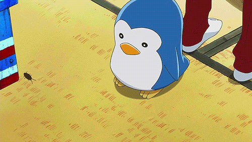 dqwr0WD.gif
