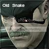 oldsnake.jpg