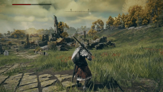 C3R3R2c.gif