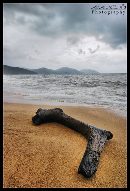 HDR_by_Ali_Alnemer.jpg