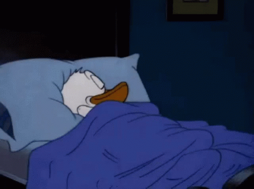donald-duck-wtf.gif