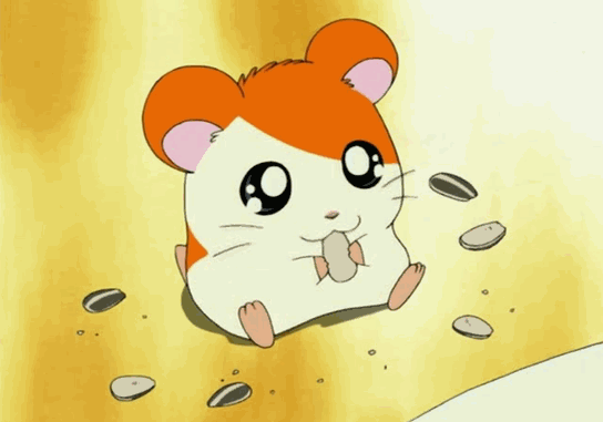 180eb1be8fe413184350c53cc827b37f.gif