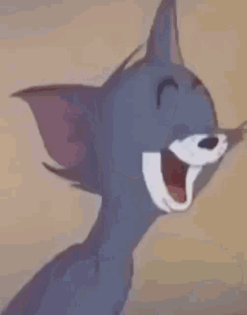 tom-tom-and-jerry.gif