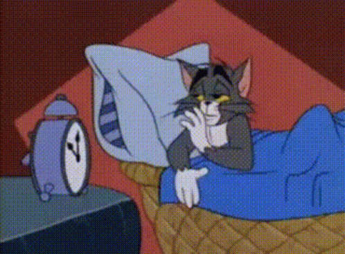 tom-and-jerry-sleep.gif