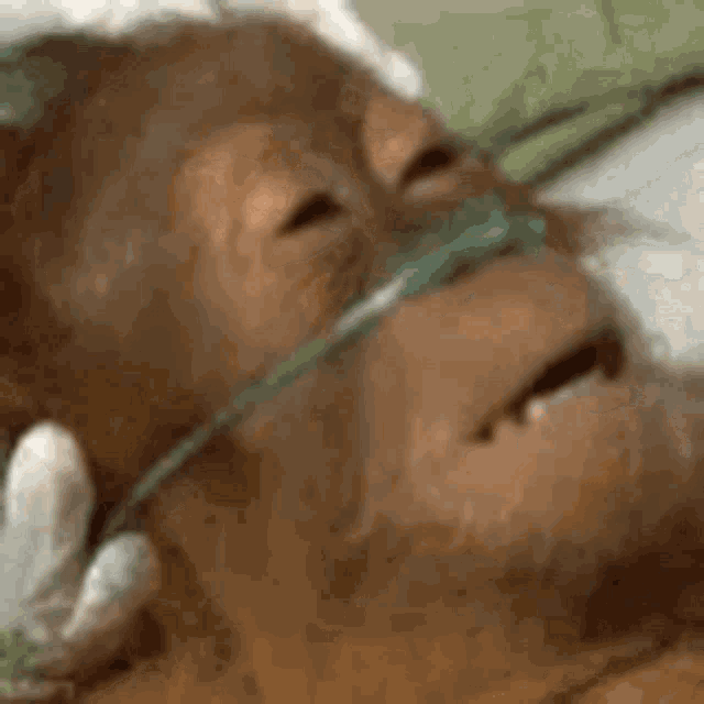 hospital-cant-breath.gif
