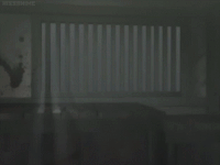 bYlLa25.gif