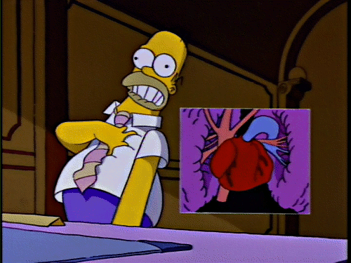 tumblr_pl19thHRgA1qju22qo1_500.gif