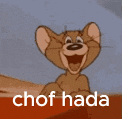 cho-hada-chof.gif