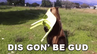 BR2AG2r.gif