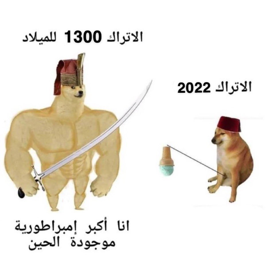 p_2348bb9kt0.jpg