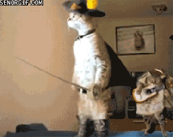 tumblr_mfxj62khUt1rya6a0o1_400.gif