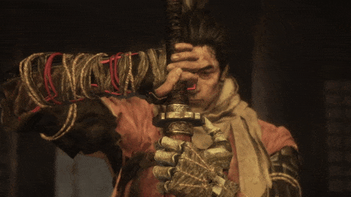 49513152331_91f0ab8446_o_d.gif