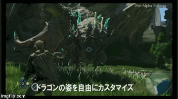 roh4o.gif