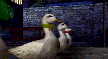 Bmvyfzy.gif
