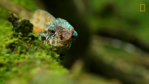 cb7367e91b0ff5062f40617f94b855da.gif