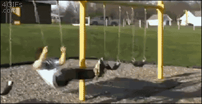 tumblr_mwmrhctCc91qdlh1io1_400.gif