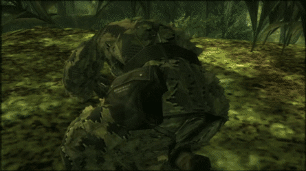 Wideeyed-Active-Coral-small.gif