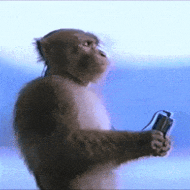 monkey-listening.gif