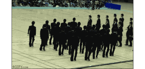 tumblr_md4vsboWRf1rfh5c5o1_500.gif