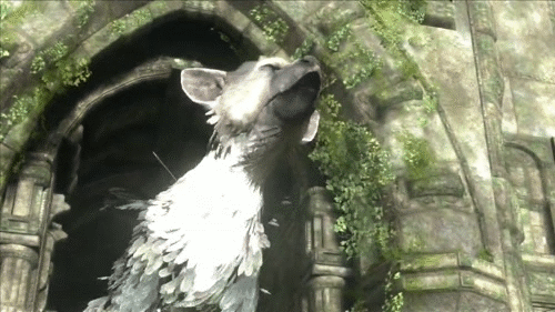 tumblr_mhlopyJWZE1qdqlkxo1_500.gif