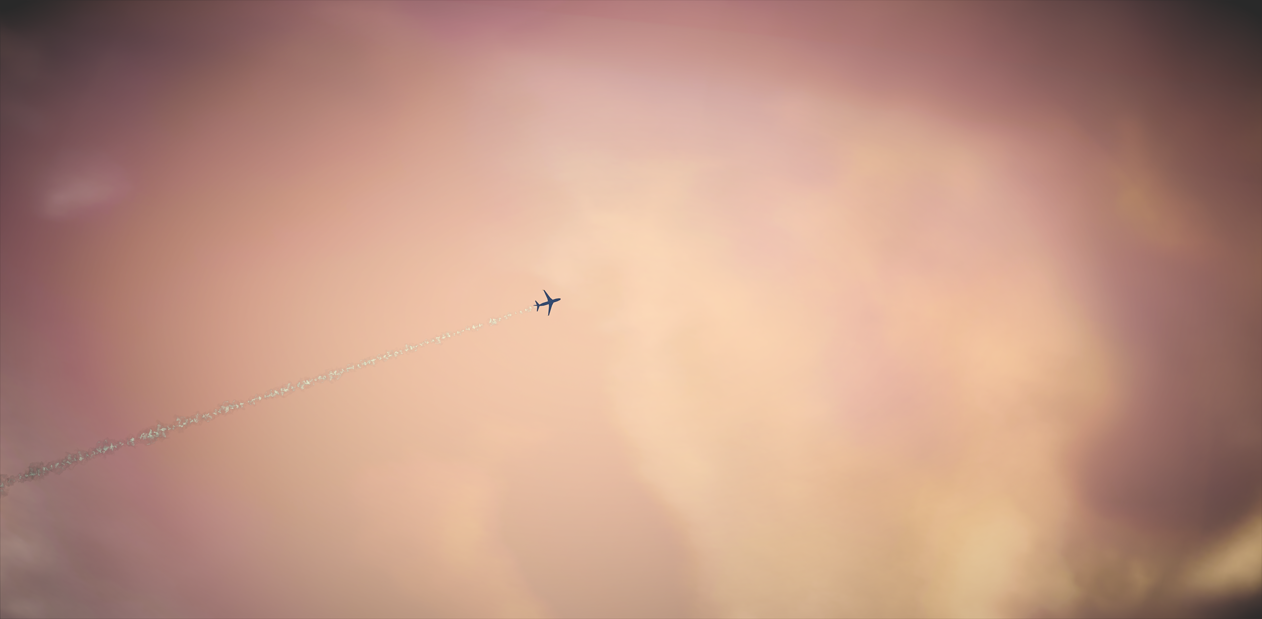 51195807165_dd6b92281a_o.png