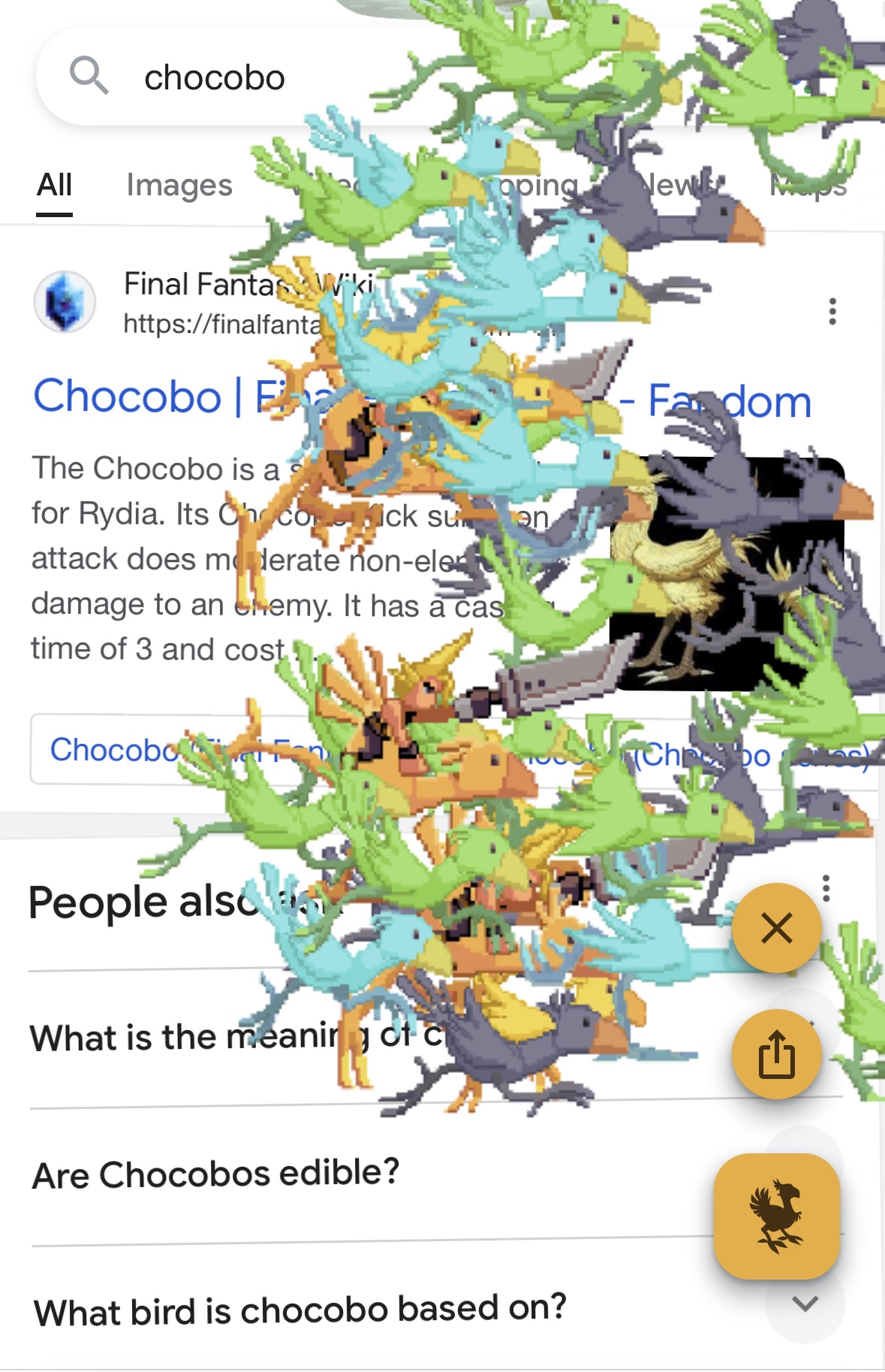 170917958864671.jpeg