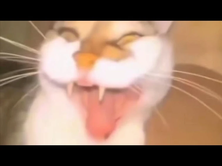 755