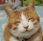 An00Q.png