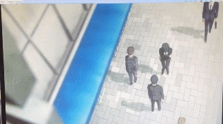 rLXocor.gif