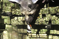 tumblr_mrkw90yuYz1rolhqjo5_r1_250.gif