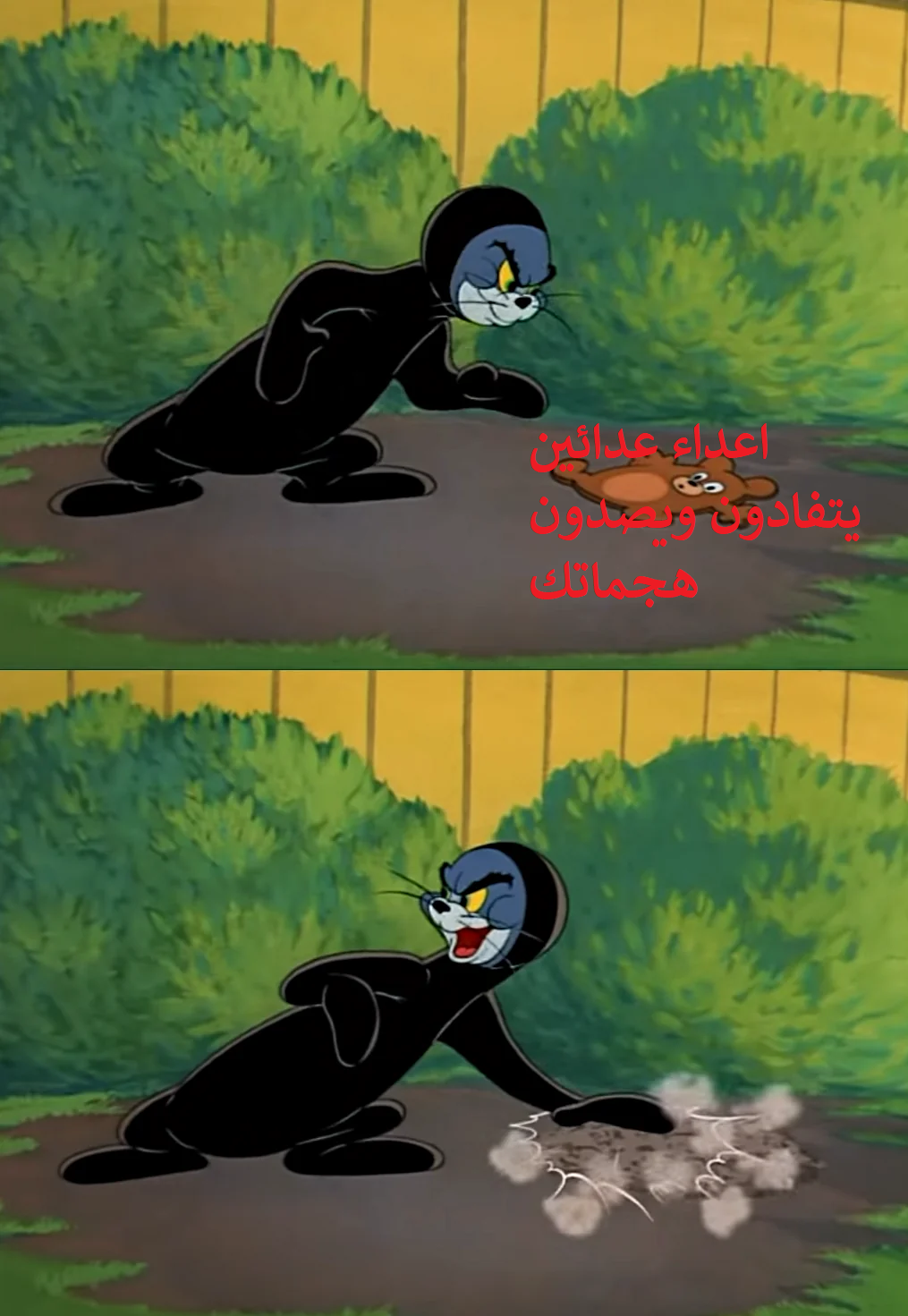 xvDpDU2.png