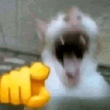 IMG-0972.gif