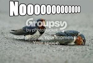 Noooooo.jpg