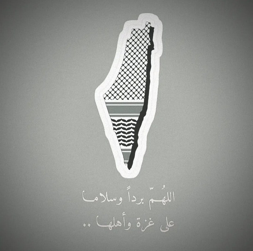 IMG-2390.jpg
