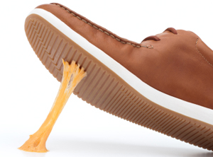 gum.jpg